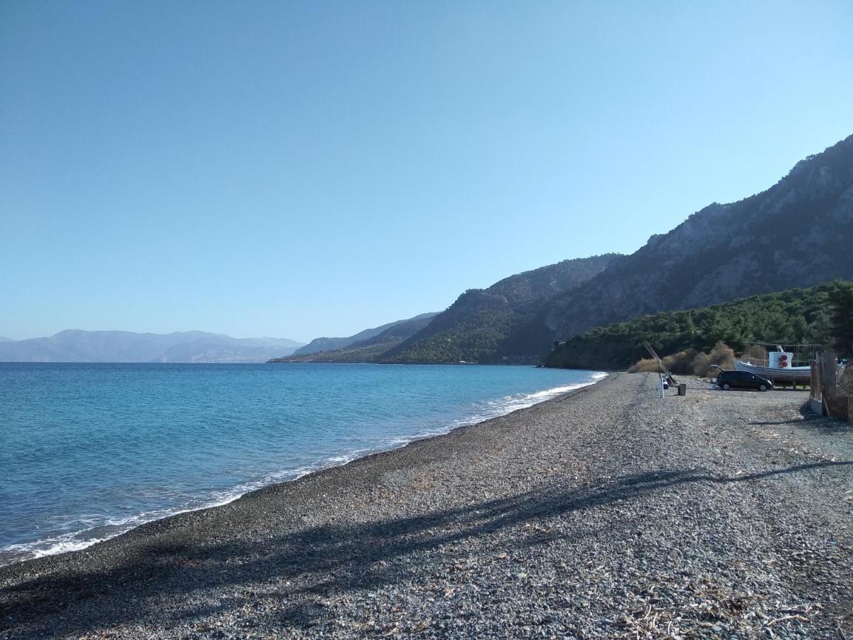 Palm Tree House By The Beach Skhoínos Εξωτερικό φωτογραφία