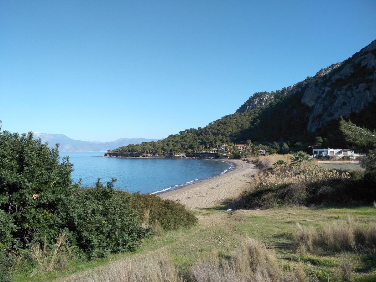 Palm Tree House By The Beach Skhoínos Εξωτερικό φωτογραφία
