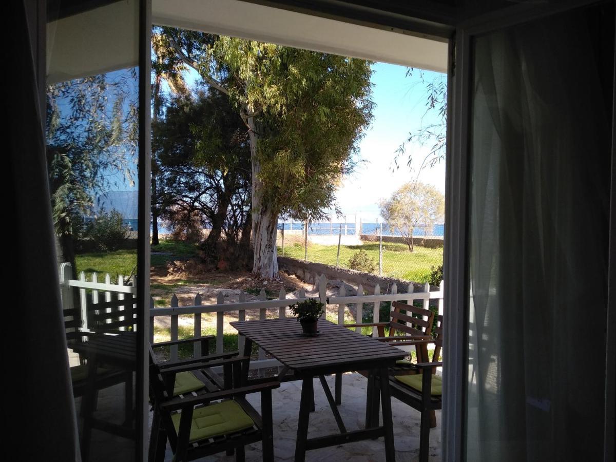 Palm Tree House By The Beach Skhoínos Εξωτερικό φωτογραφία