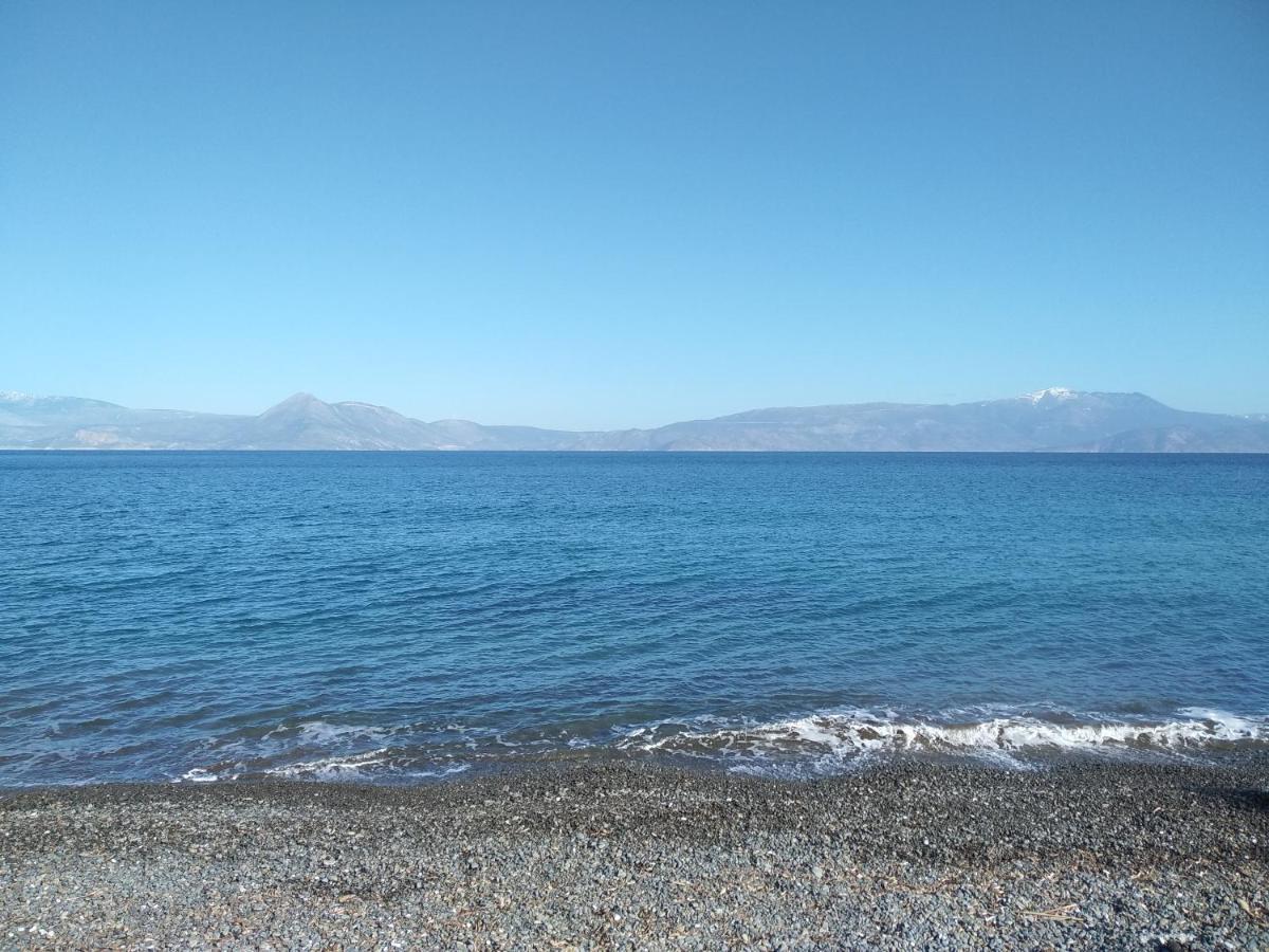 Palm Tree House By The Beach Skhoínos Εξωτερικό φωτογραφία