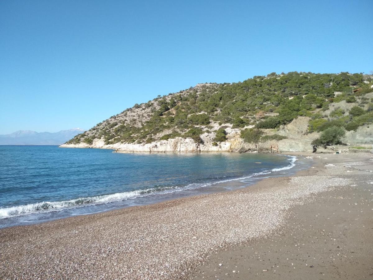 Palm Tree House By The Beach Skhoínos Εξωτερικό φωτογραφία