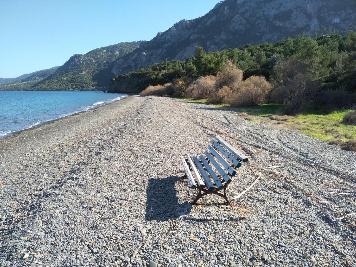 Palm Tree House By The Beach Skhoínos Εξωτερικό φωτογραφία