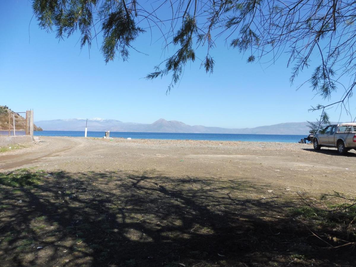 Palm Tree House By The Beach Skhoínos Εξωτερικό φωτογραφία