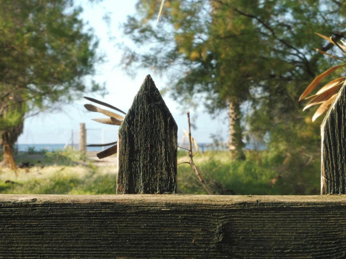 Palm Tree House By The Beach Skhoínos Εξωτερικό φωτογραφία