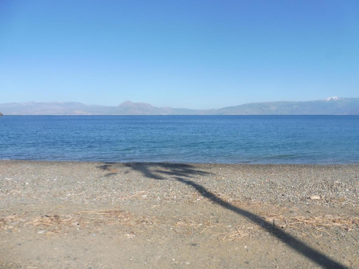 Palm Tree House By The Beach Skhoínos Εξωτερικό φωτογραφία