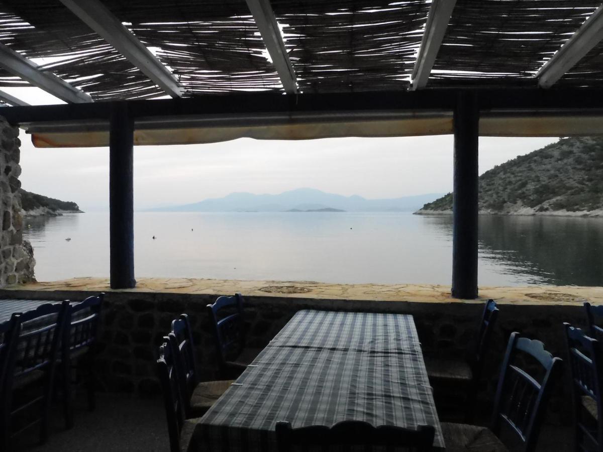 Palm Tree House By The Beach Skhoínos Εξωτερικό φωτογραφία