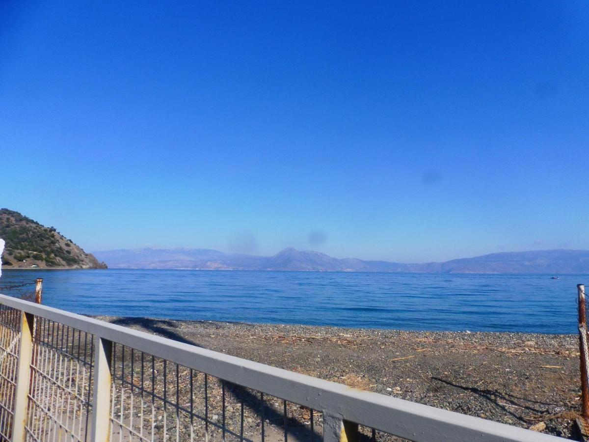 Palm Tree House By The Beach Skhoínos Εξωτερικό φωτογραφία