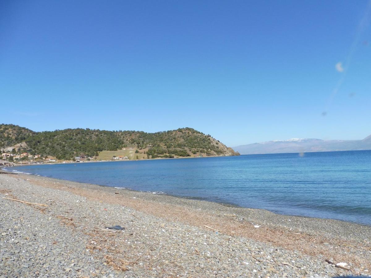 Palm Tree House By The Beach Skhoínos Εξωτερικό φωτογραφία