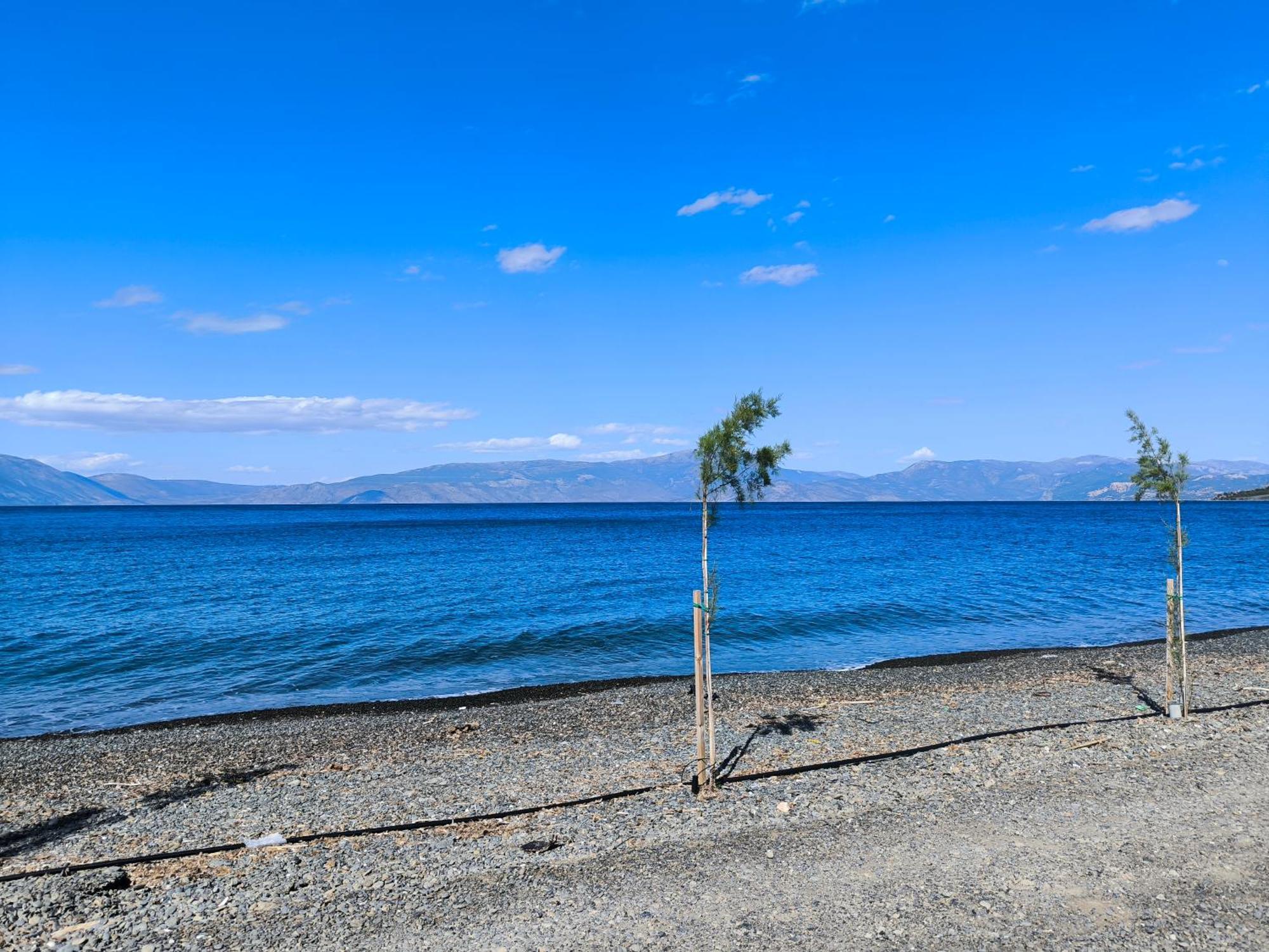 Palm Tree House By The Beach Skhoínos Εξωτερικό φωτογραφία