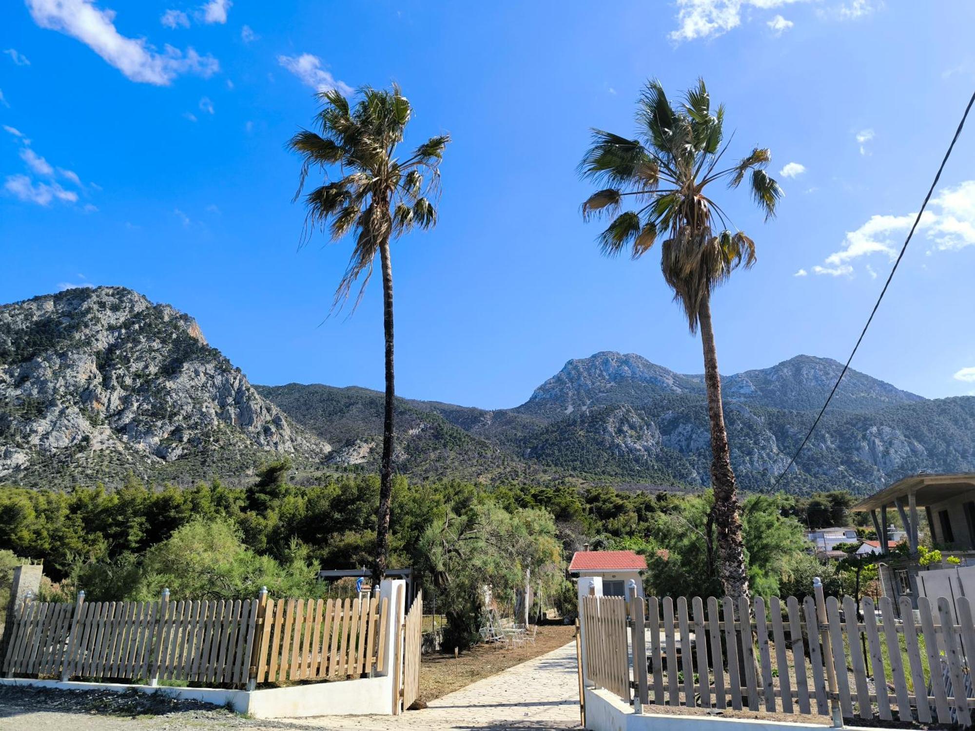 Palm Tree House By The Beach Skhoínos Εξωτερικό φωτογραφία