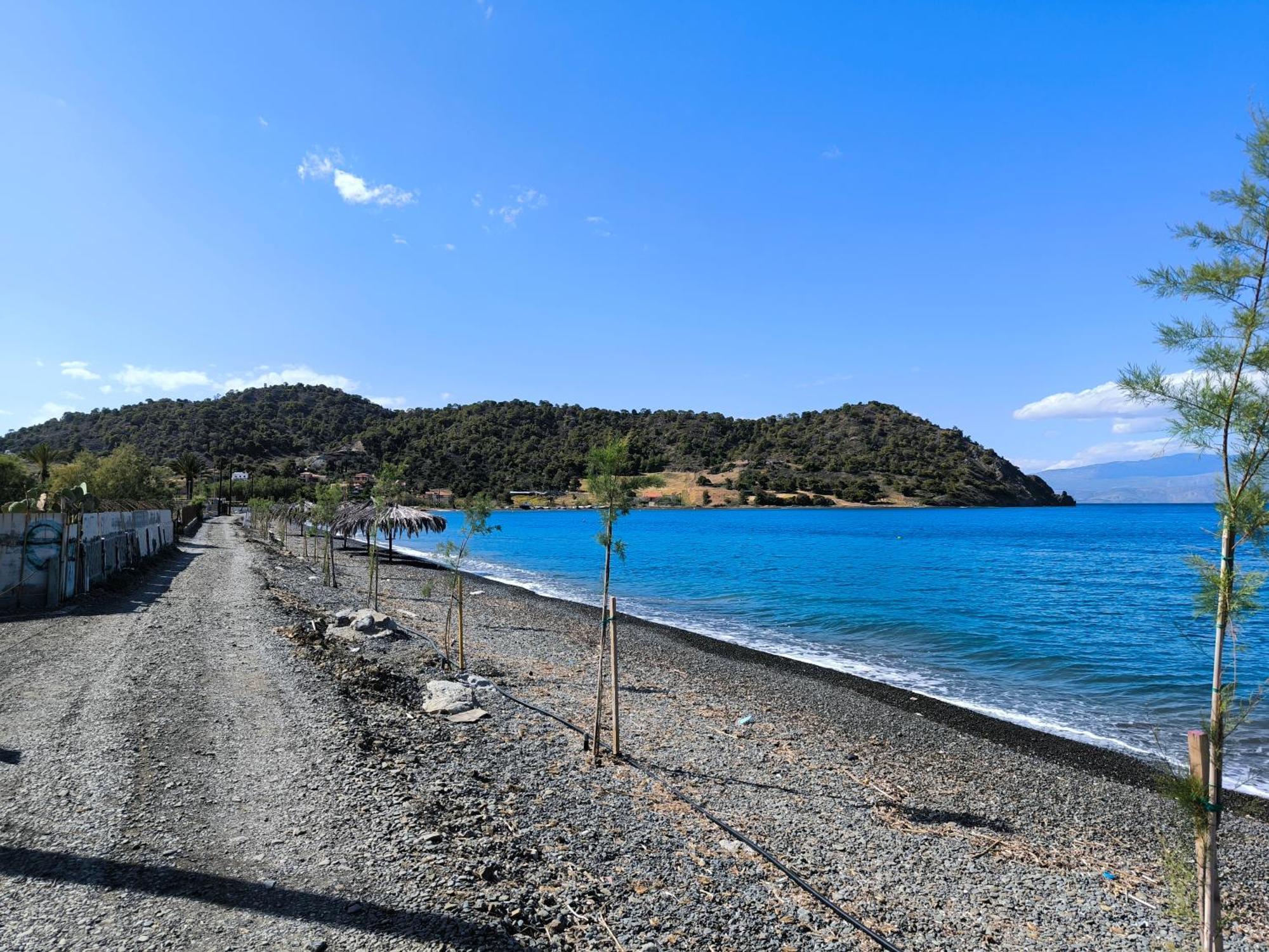 Palm Tree House By The Beach Skhoínos Εξωτερικό φωτογραφία