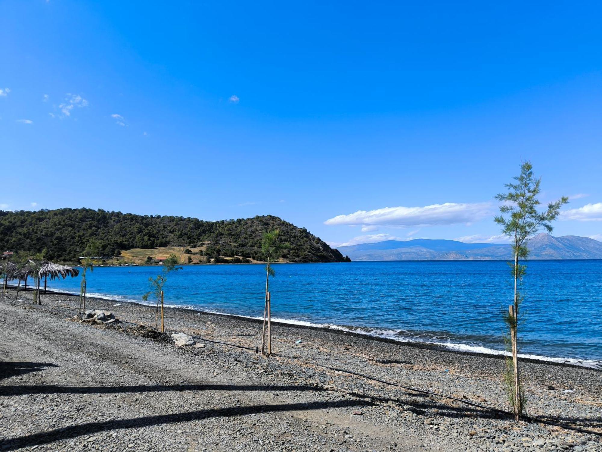 Palm Tree House By The Beach Skhoínos Εξωτερικό φωτογραφία
