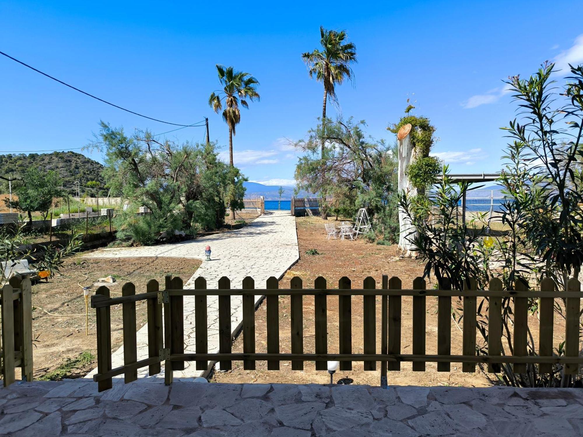 Palm Tree House By The Beach Skhoínos Εξωτερικό φωτογραφία